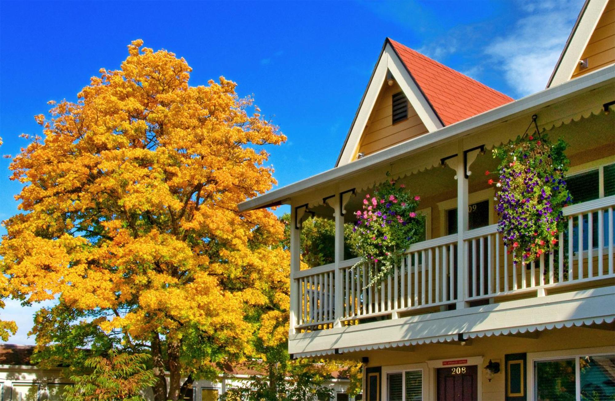 Silverton Inn & Suites ภายนอก รูปภาพ